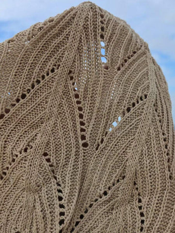 Swim Vcay SHEIN X Hangout Fest Shorts cobertura escavar cintura com cordão